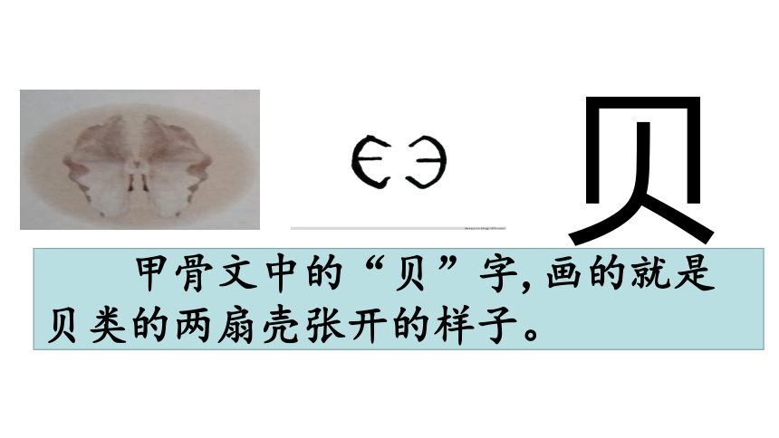 识字 3“贝”的故事     课件(共20张PPT)