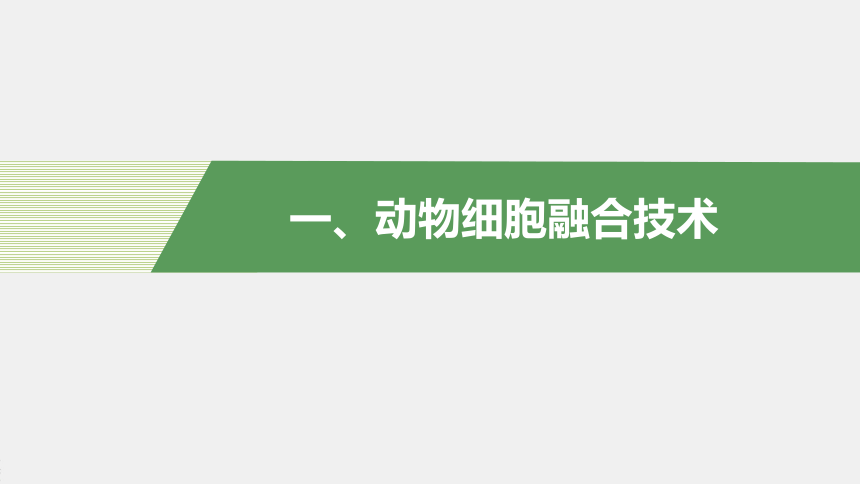 高中生物苏教版（2019）选择性必修3 生物技术与工程 第二章 第三节　第3课时　动物细胞融合技术及其应用（71张PPT）