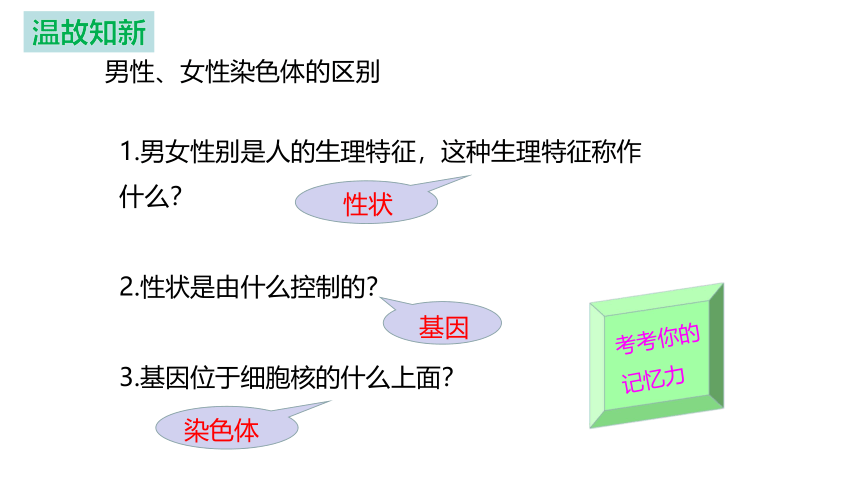 6.2.1.3人的性别决定-【精准备课】2021-2022学年八年级生物下册同步教学优质课件（冀少版）(共20张PPT)