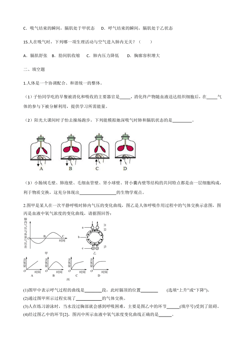 济南版七年级生物下册 3.2人的生活需要空气 章节综合练习题 （含答案）