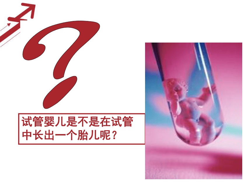 2020-2021学年高二下学期生物人教版选修三3.2 体外受精和早期胚胎培养 课件 （共30张ppt）