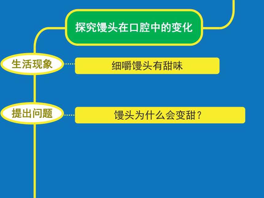 初中生物北京版七年级上册第四章第三节 人和动物的营养 探究馒头在口腔中的变化课件(共32张PPT)