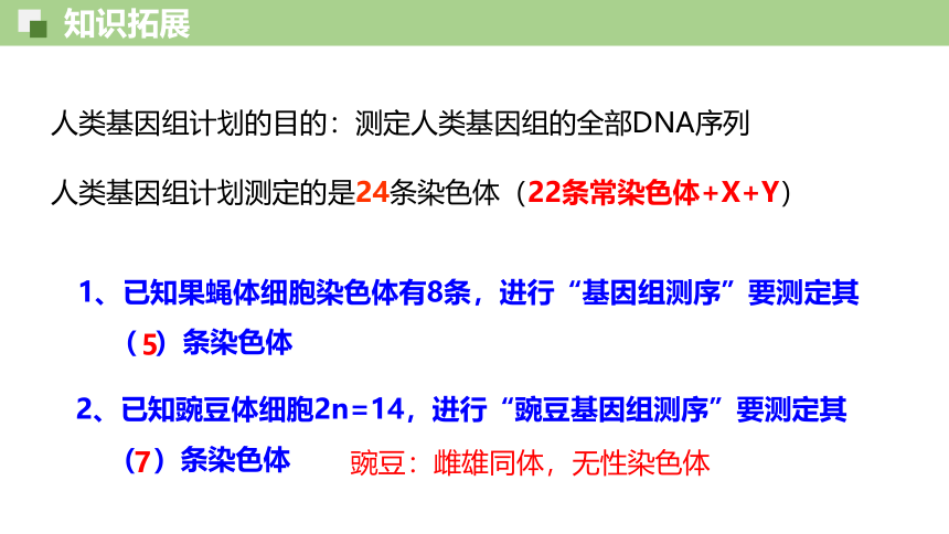 3.4基因通常是有遗传效应的DNA片段-人教版2019必修2(共33张PPT)