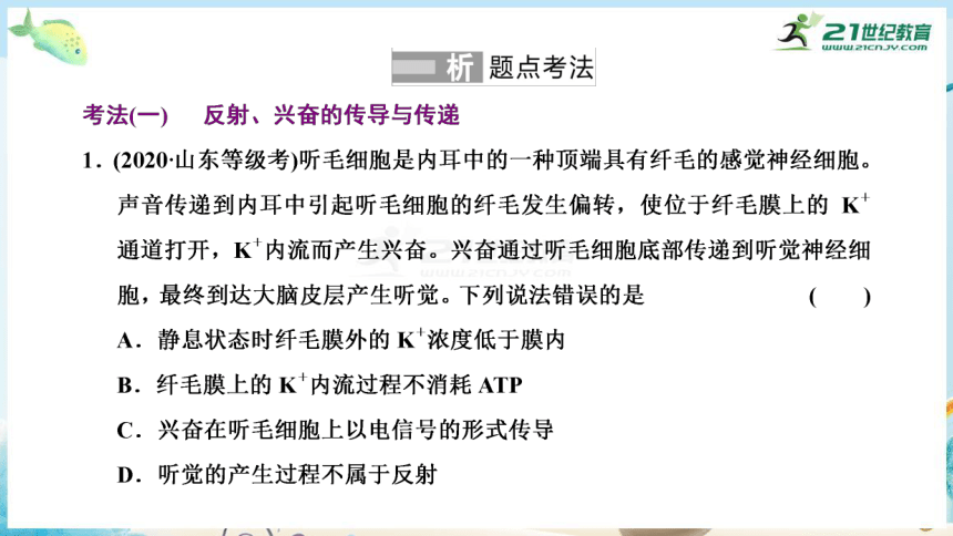 高三生物三轮复习专项突破9  神经调节和体液调节（共29张PPT）