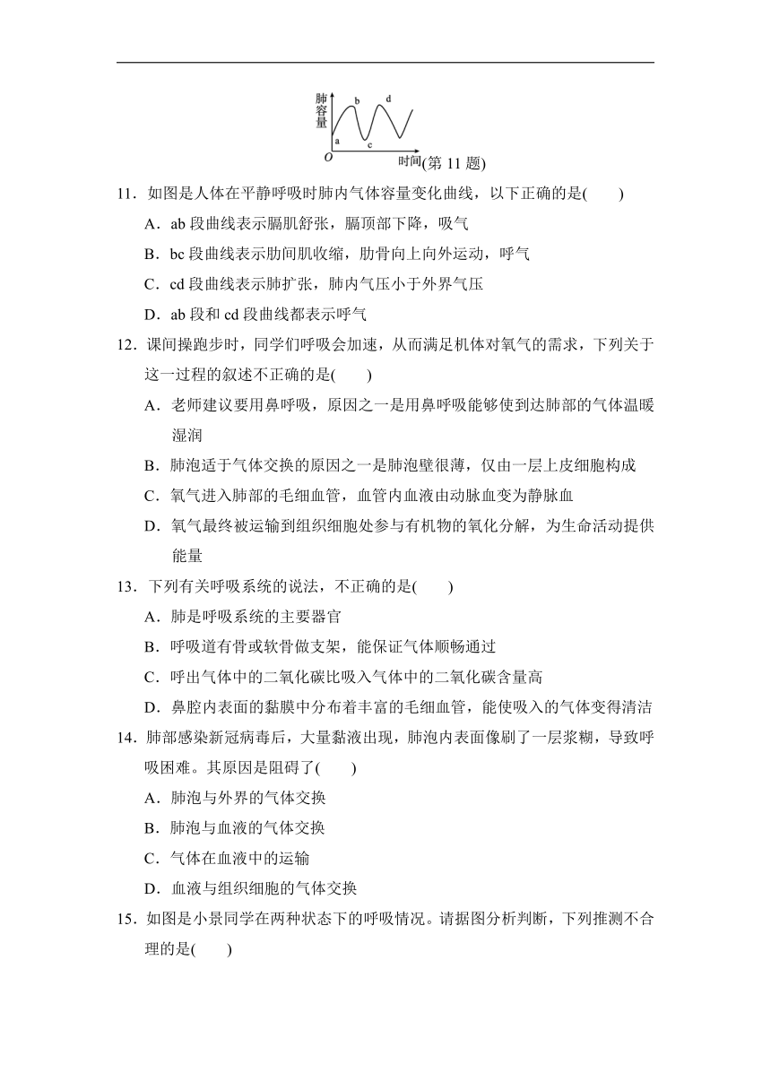 第四单元第三章人体的呼吸测试卷-2021-2022学年人教版七年级生物下册（Word版 含答案）