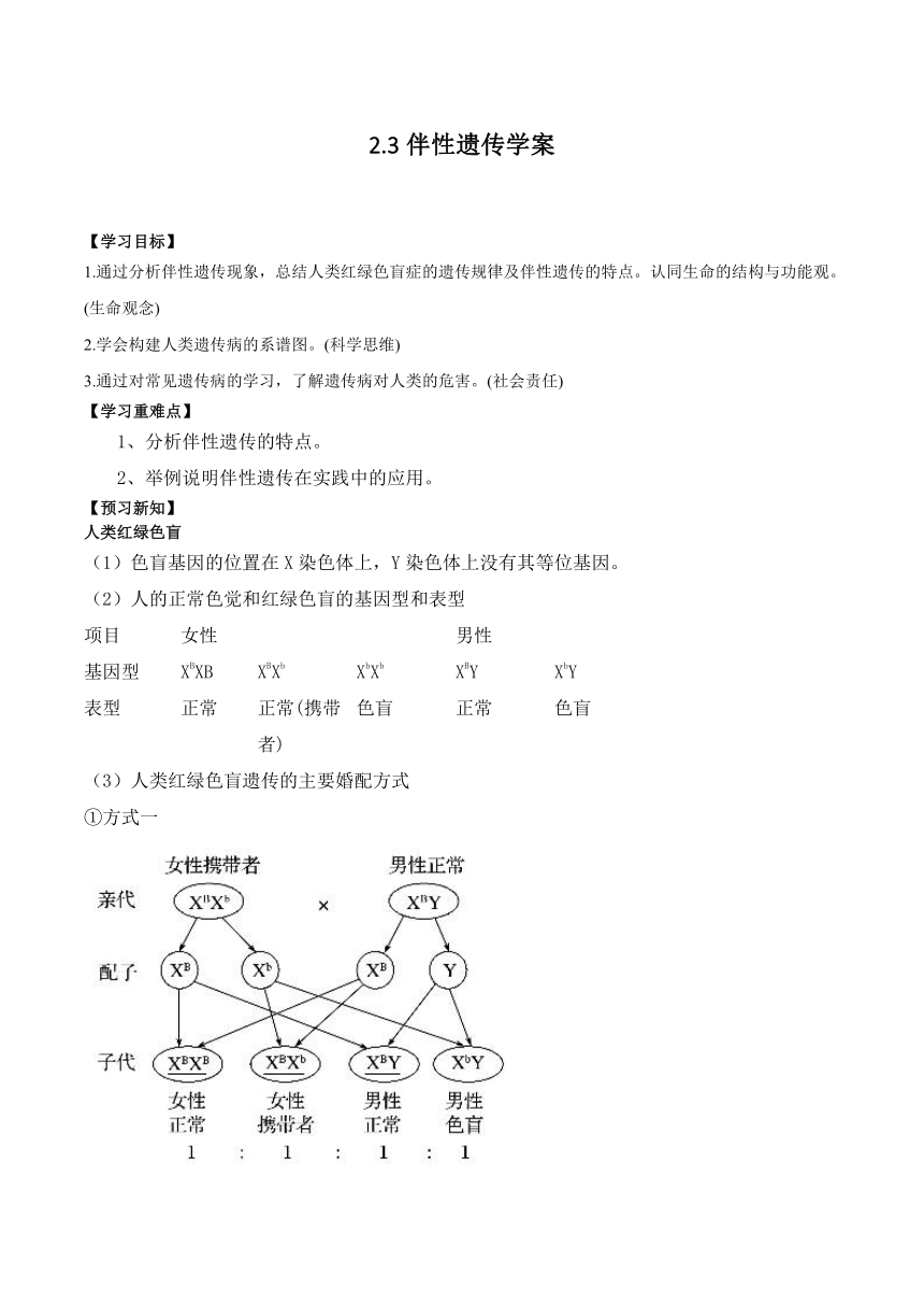 2.3伴性遗传学案