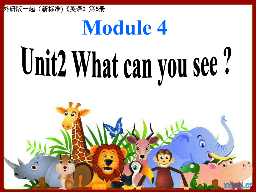 Module4 Unit2 What can you see? 课件（41张PPT）