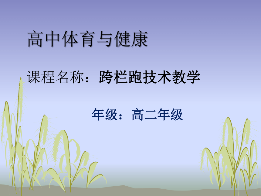 高中高二年级体育与健康跨栏跑技术教学 课件（11ppt）