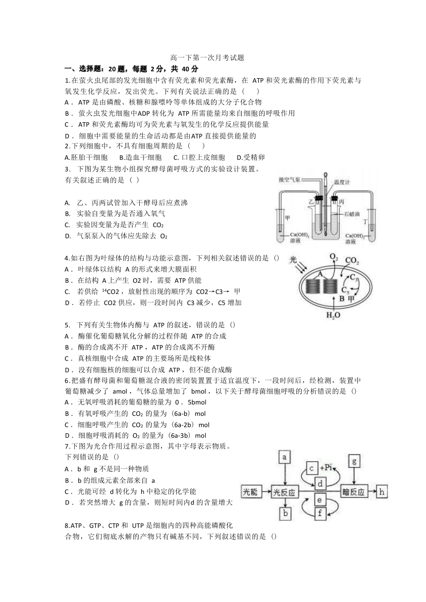 重庆市巫溪县尖山中学校2022-2023学年高一下学期第一次月考生物试题 （Word版无答案）