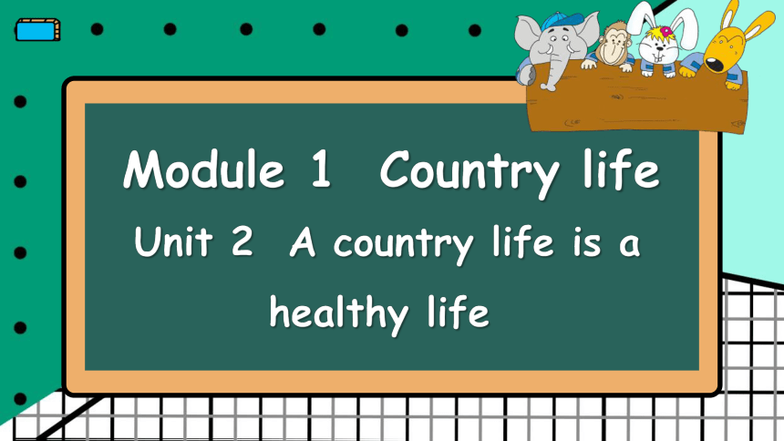 教科版（广州）英语六年级上册 Module 1 Unit 2 A country life is a healthy life 课件（共46张PPT）