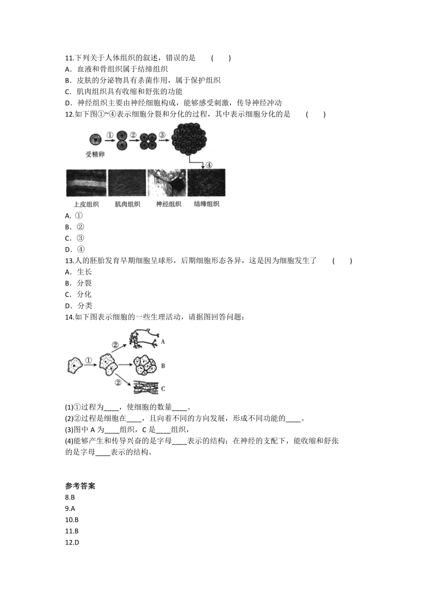 2019-2020学年人教版生物七年级上册第二单元第二章《细胞怎样构成生物体》章节汇总练习题及答案