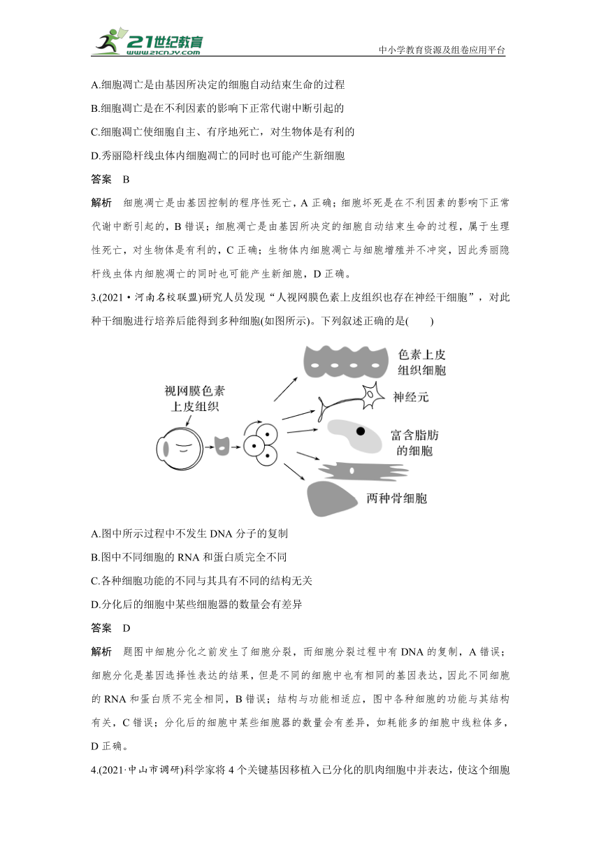 【生物新高考一轮复习】热点微练14　细胞分化、衰老、死亡与人体健康（word版含解析）