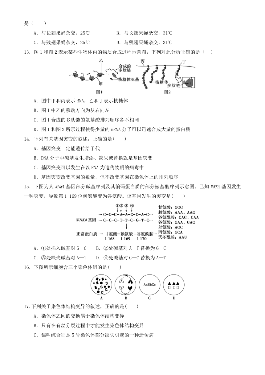 北京市顺义区第一中学2022-2023学年高一下学期6月月考生物学试题（Word版含答案）