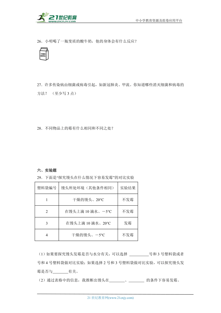 苏教版五年级下册科学第一单元显微镜下的生命世界综合训练（含答案）