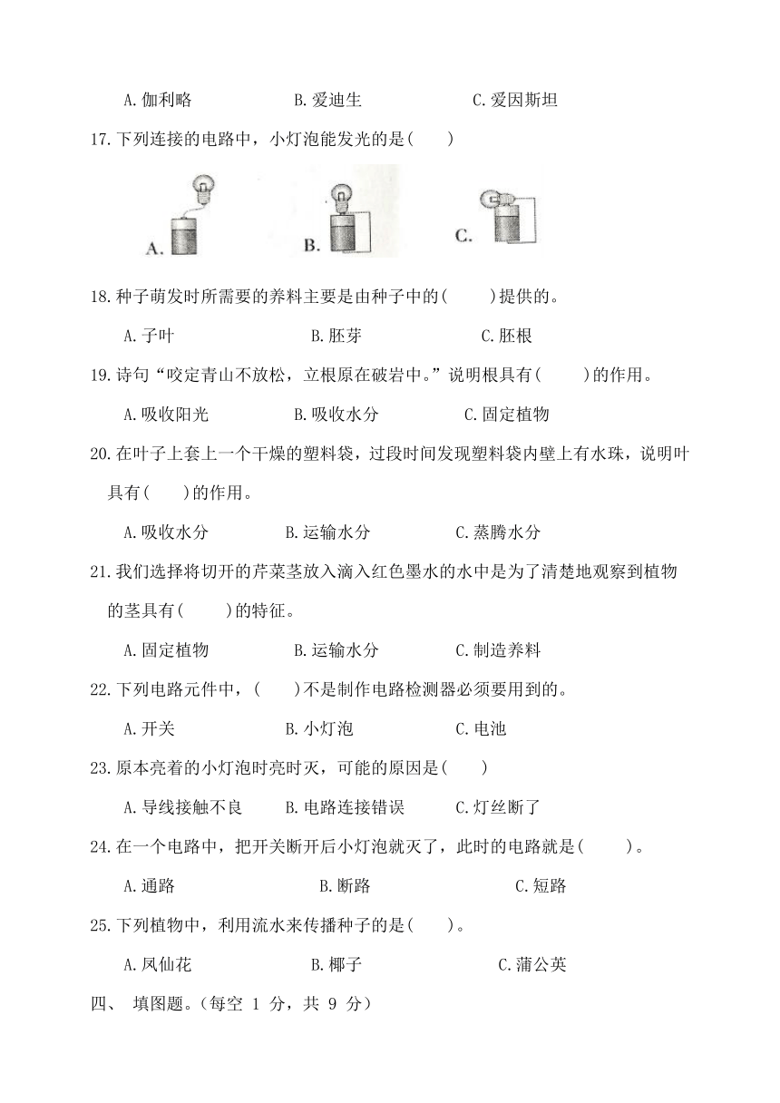 湖北省荆州市石首市2023-2024学年四年级下学期4月期中科学试题（含答案）