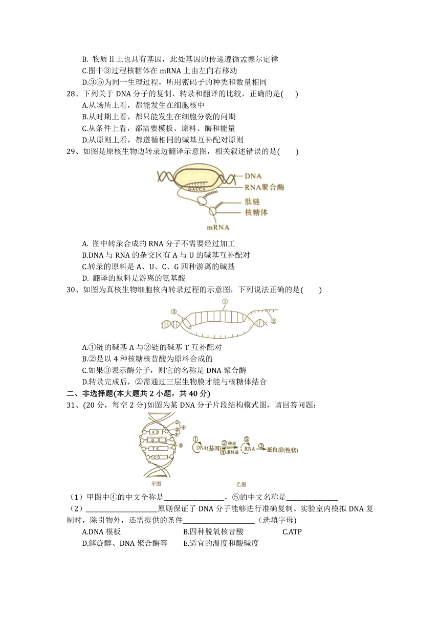 黑龙江省嫩江市2020-2021学年高一上学期期中质量检测生物试题（Word版含解析）