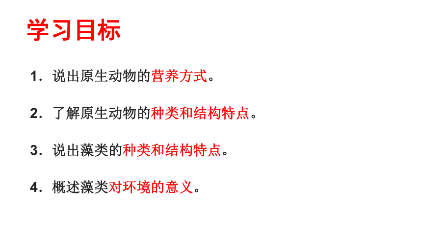 2021--2022学年北师大版生物八年级下册22.2原生生物的主要类群课件(共15张PPT)