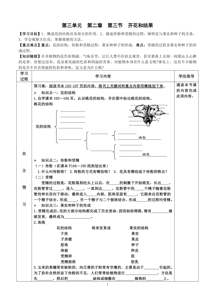 2022-2023学年度七年级第一学期生物同步课程3.2.3 开花和结果 导学案（无答案）