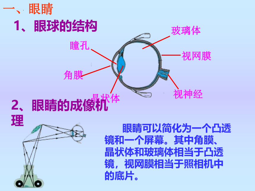 第六章第四节《眼睛和眼镜》课件2021-2022学年北师大版八年级物理下册(共21张PPT)