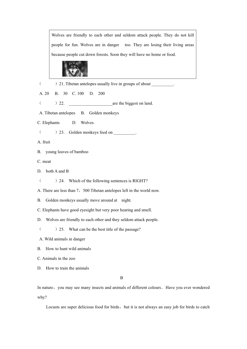 Module 6 Animals in danger模块练习（含答案）