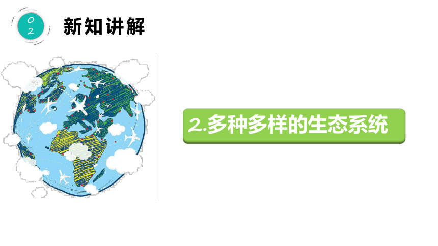 【新课标】人教版生物七年级上册 1.2.3 生物圈是最大的生态系统课件(共31张PPT)