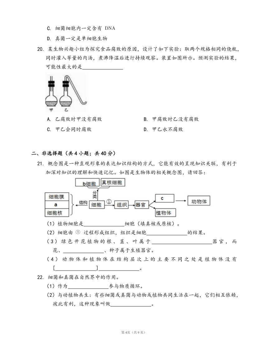 人教版八年级生物上册第五单元第四章 细菌和真菌练习（word版，含部分答案解析）