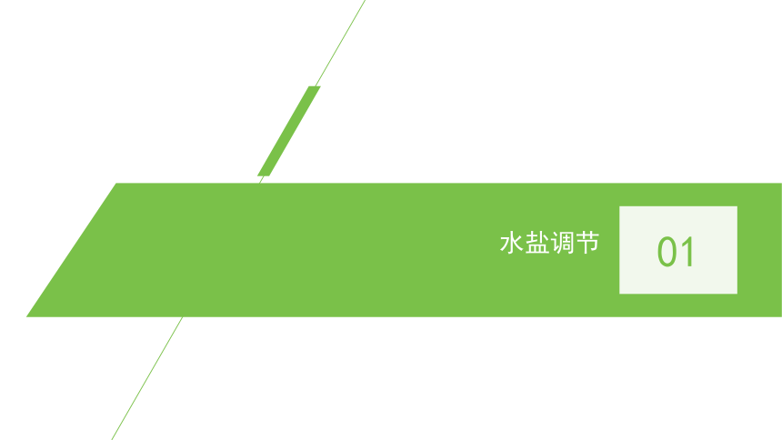 2021-2022学年高二上学期生物苏教版（2019）选择性必修1  2.3水盐平衡的调节课件(共21张PPT)