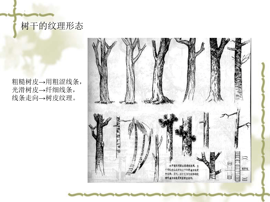 第二单元  3.  我们来画树  课件（25张ppt）沪教版 美术四年级上册