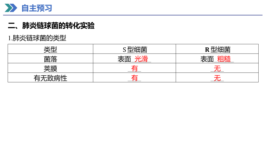 3.1 DNA是主要的遗传物质 课件(共50张PPT) 2023-2024学年高一生物人教版（2019）必修第二册