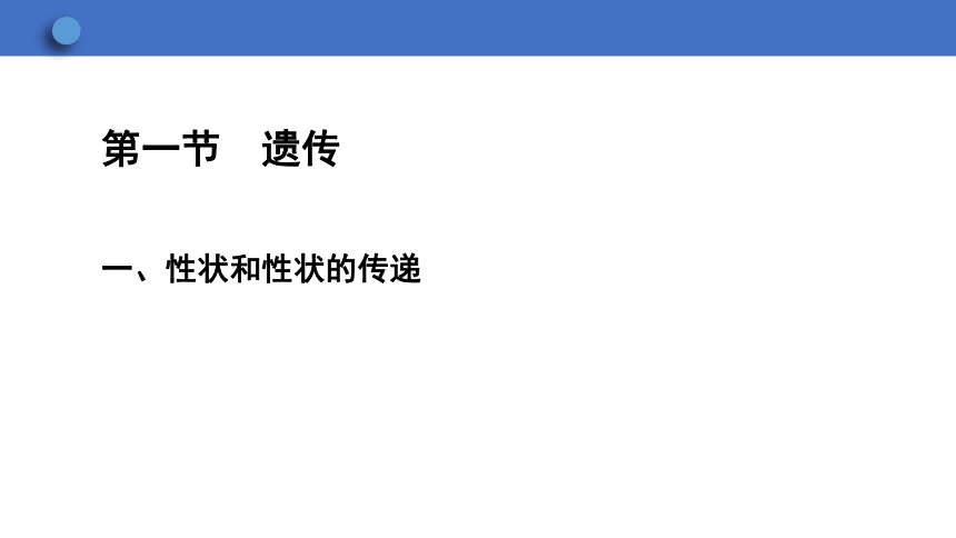 6.2.1 遗传 第1课时课件(共21张PPT)2023-2024学年初中生物冀少版八年级下册