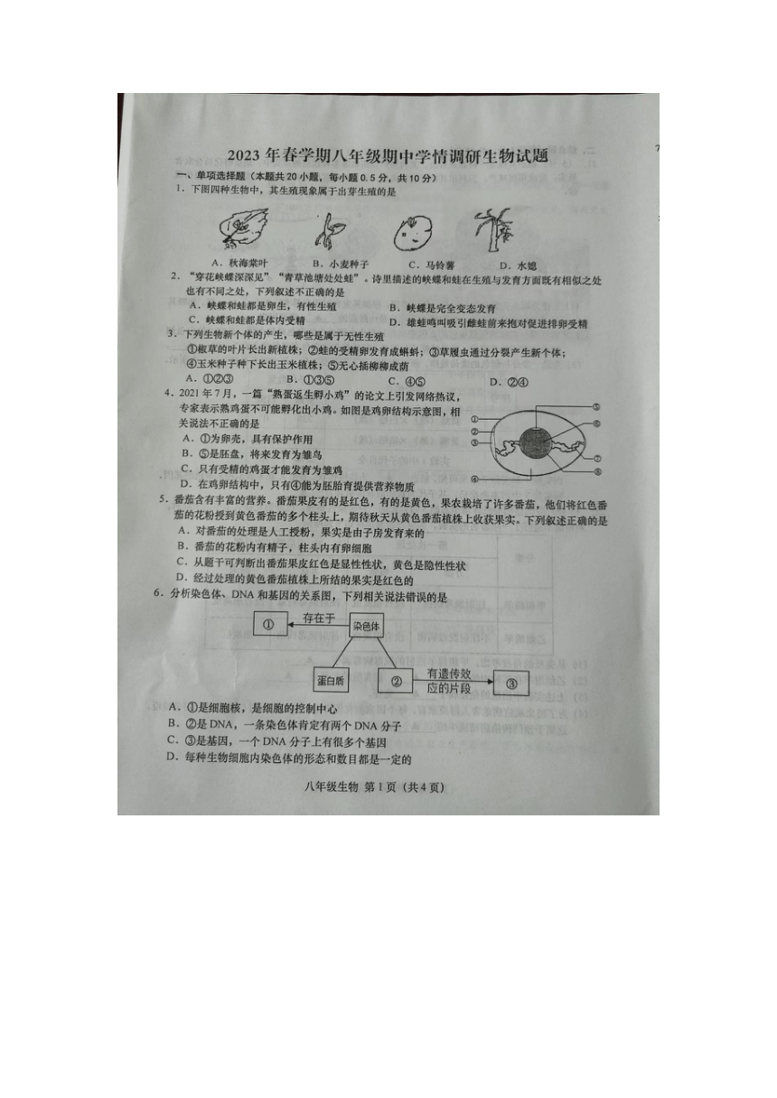 江苏盐城市阜宁县2022-2023学年八年级下学期期中生物试题（图片版含答案）