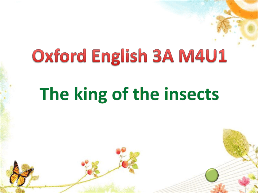 Module 4 Unit 1 Insects课件(共21张PPT)