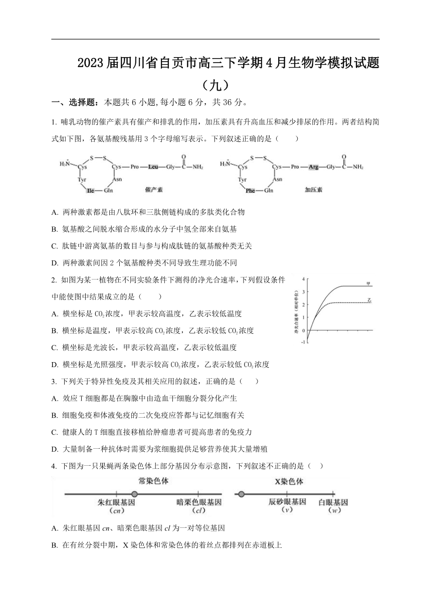 2023届四川省自贡市高三下学期4月生物学模拟试题（九）（Word版含答案）