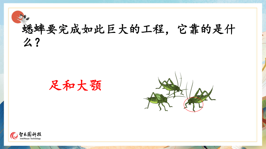 【课件PPT】小学语文四年级上册—课文11 蟋蟀的住宅（第2课时）