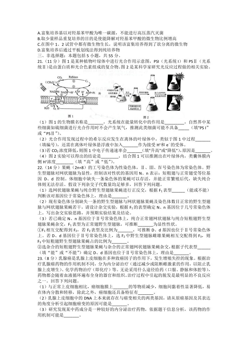 2023届山东省高三下学期4月新高考联合模拟考试生物学试题（含答案）