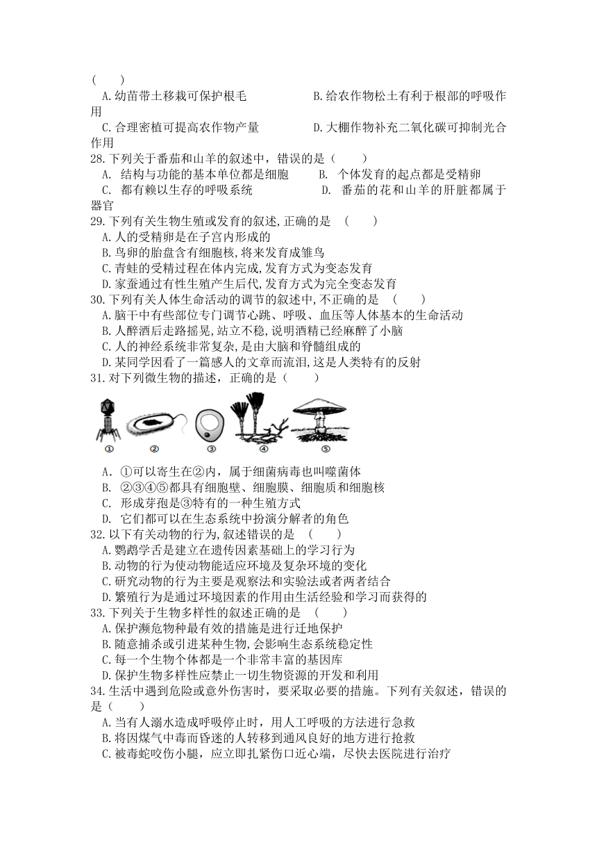 四川省眉山市青神县2020-2021学年八年级下学期期中考试地理生物-生物试题（word版 含答案）