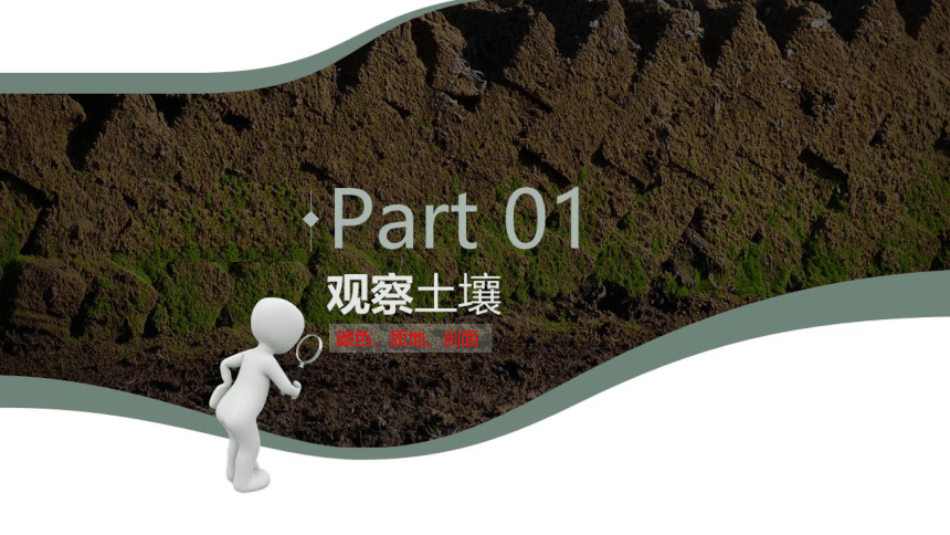 2.6土壤的主要形成因素课件（共27张PPT）