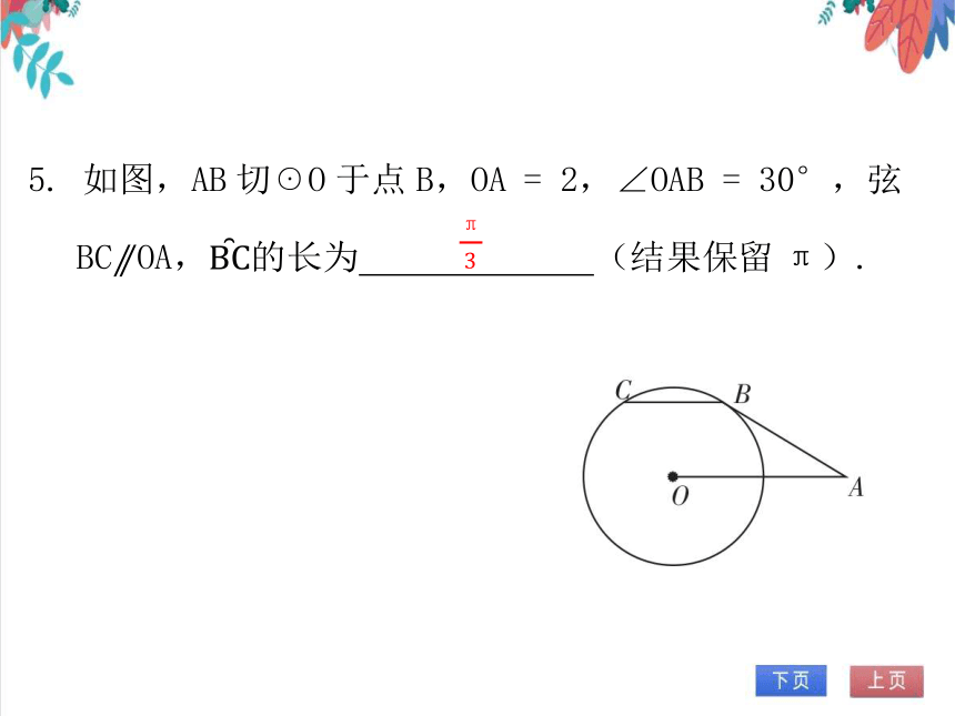 【北师大版】数学九年级（下）3.9 弧长及扇形的面积 习题课件