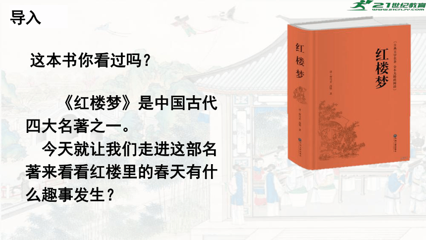 8《红楼春趣》课件