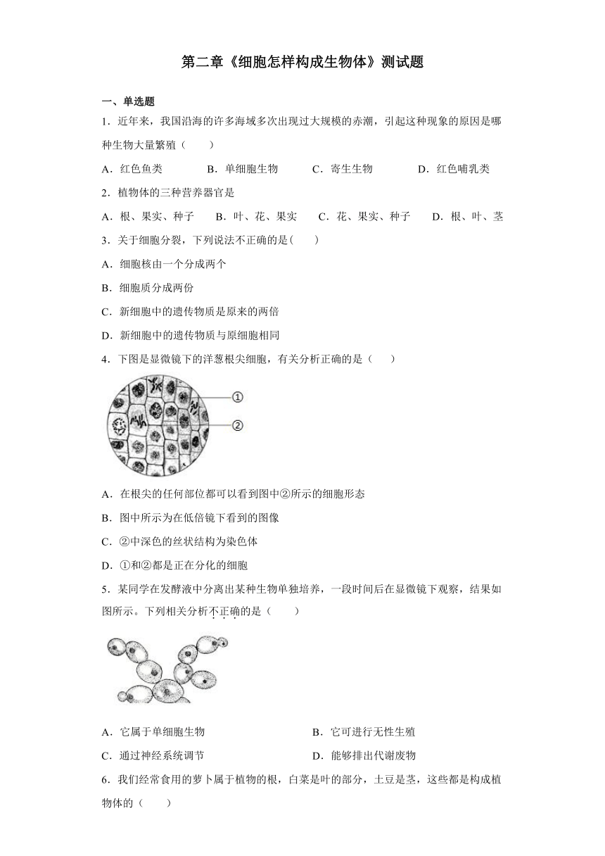 人教版生物七年级上第二单元第二章《细胞怎样构成生物体》测试题（word版含答案）