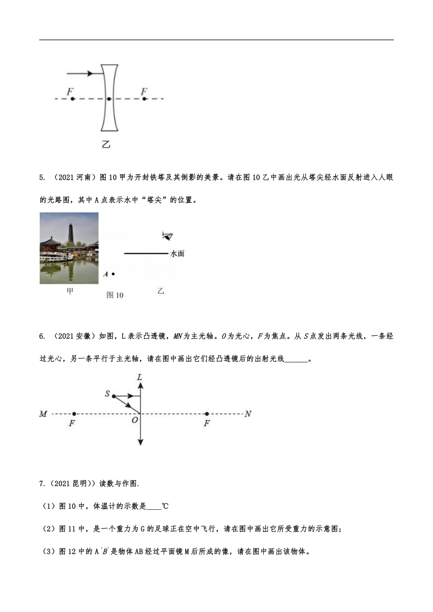 2021年中考物理真题分类训练——光学作图(有解析)