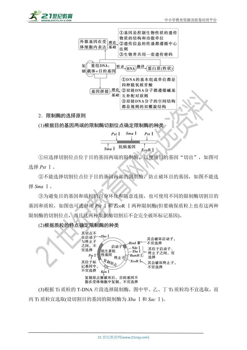 【考点梳理  生物总复习 】80第38讲　基因工程及生物技术的安全性与伦理问题