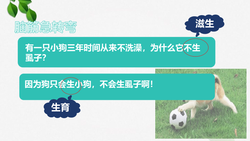 2.2 逻辑思维的基本要求课件（27张PPT）-2023-2024学年高中政治统编版选择性必修三逻辑与思维