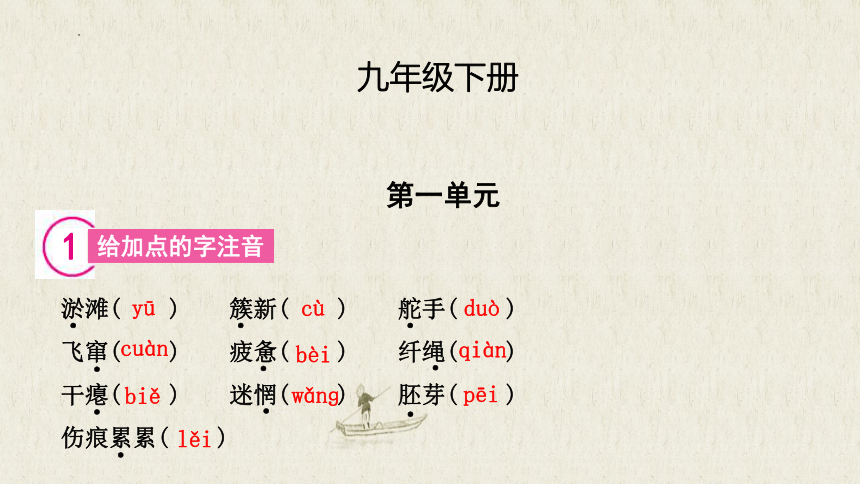 2023-2024学年统编版语文九年级下册 基础知识汇总 课件(共24张PPT)