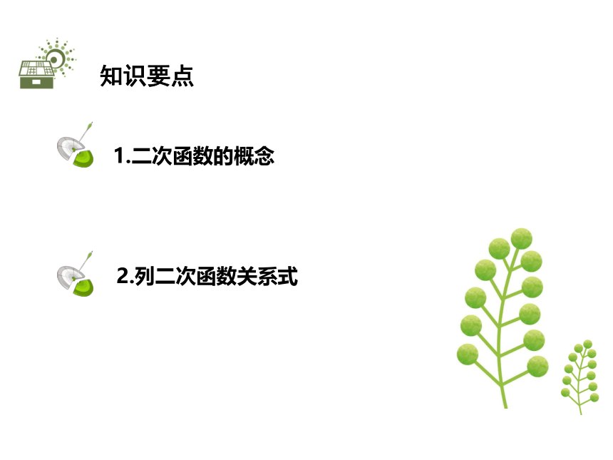 北师大版九年级数学下册教学课件：2.1  二次函数(共20张PPT)