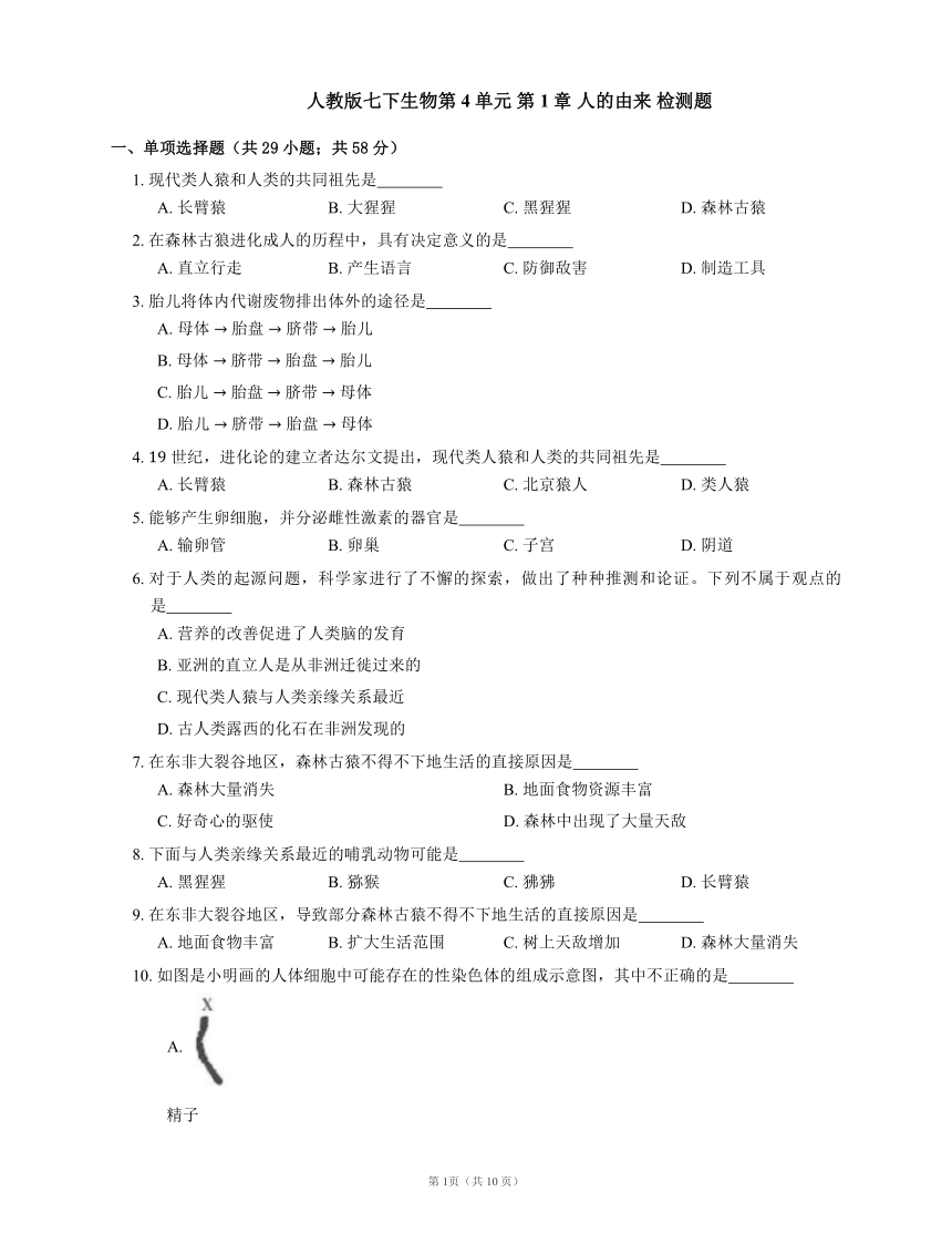 人教版七下生物第4单元 第1章 人的由来 检测题（word版含答案解析）