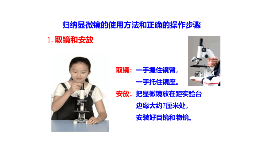 人教版七年级生物上册 2.1.1 练习使用显微镜 2022--2023学年 课件 (共23张PPT)