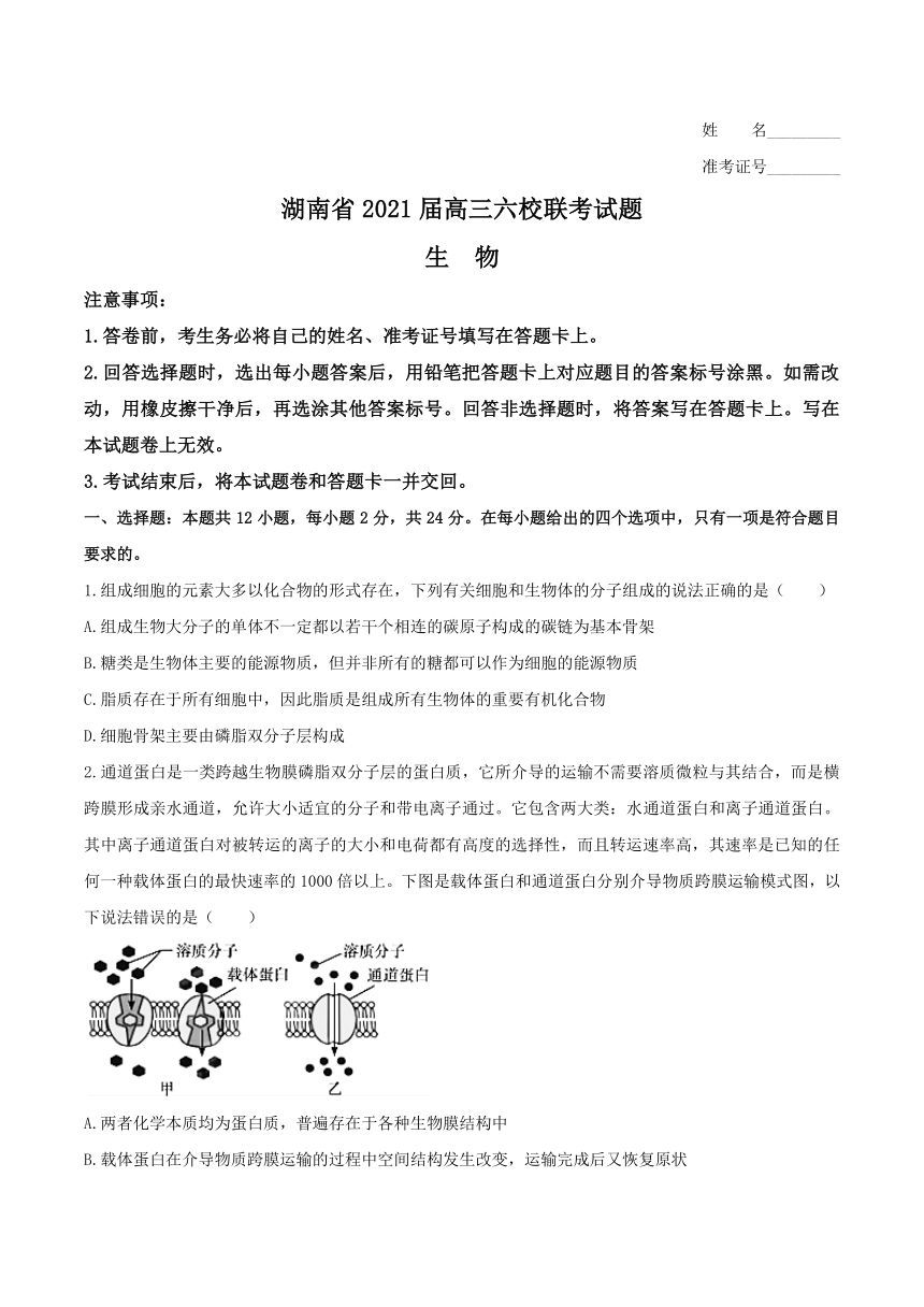 湖南省六校2021届高三下学期4月联考生物试题    含答案