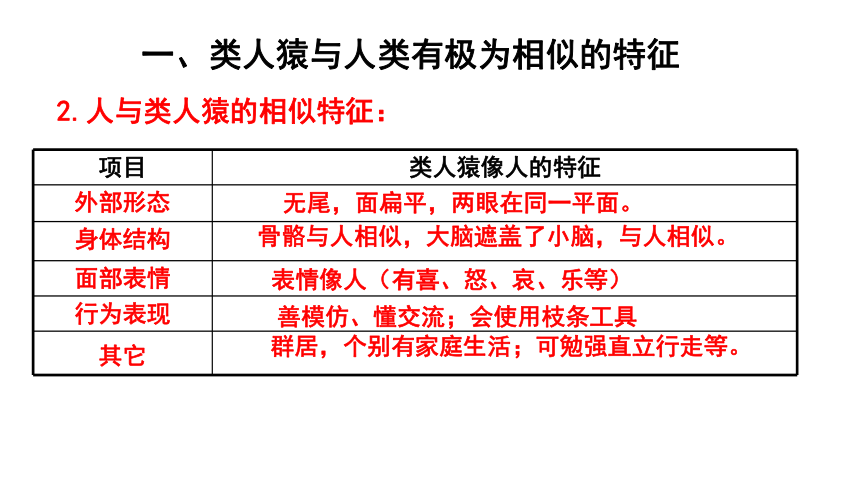 7.21.3 人类的起源与进化（课件）-2022-2023学年八年级生物下册同步精品课堂（北师大版）课件(共21张PPT)