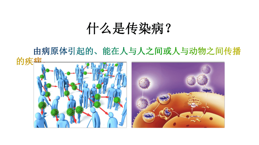 8.1.1+传染病及其预防-2022-2023学年八年级生物下册同步备课优质课件（人教版）(共44张PPT)